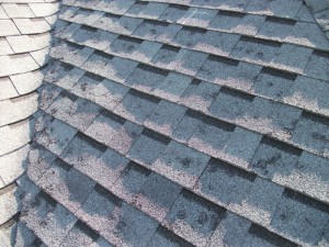 re-roof-severe-hail-damage-1