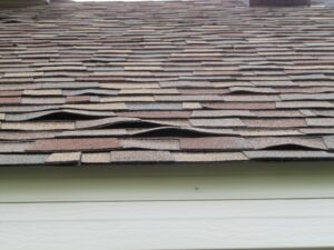 residential-roof-leaks